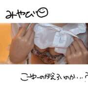 ヒメ日記 2025/04/03 20:15 投稿 みやび CECIL