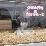 ヒメ日記 2025/04/04 07:00 投稿 みやび CECIL