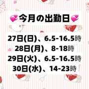 ヒメ日記 2025/04/27 06:00 投稿 みやび CECIL