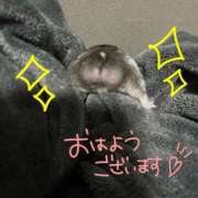 ヒメ日記 2025/07/06 05:45 投稿 みやび CECIL