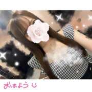 ヒメ日記 2025/09/02 05:49 投稿 みやび CECIL