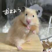 ヒメ日記 2025/09/11 05:39 投稿 みやび CECIL