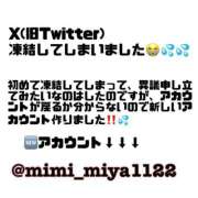 ヒメ日記 2025/11/19 22:00 投稿 みやび CECIL