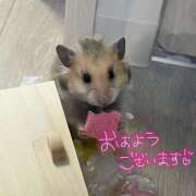 みやび 🥰可愛い我が子のお裾分け…( *˘ ³˘)ﾝﾏ💖 CECIL