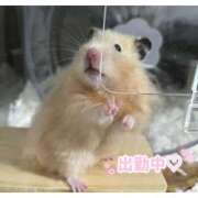 みやび 🤕怪我だらけ‥(Ｔ＿Ｔ)笑 CECIL