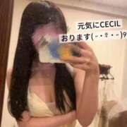 ヒメ日記 2026/06/29 11:06 投稿 みやび CECIL