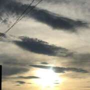 ヒメ日記 2025/06/16 19:24 投稿 瀬名 ローズマリー大塚