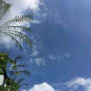 ヒメ日記 2025/06/27 09:54 投稿 瀬名 ローズマリー大塚