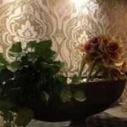 ヒメ日記 2025/07/01 13:54 投稿 瀬名 ローズマリー大塚