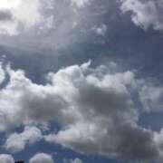 ヒメ日記 2025/08/10 17:44 投稿 瀬名 ローズマリー大塚