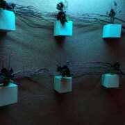 ヒメ日記 2025/09/03 21:34 投稿 瀬名 ローズマリー大塚