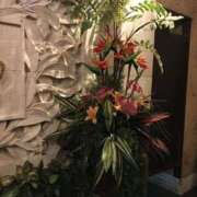 ヒメ日記 2025/09/11 23:24 投稿 瀬名 ローズマリー大塚