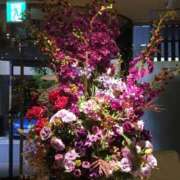 ヒメ日記 2025/09/24 20:04 投稿 瀬名 ローズマリー大塚