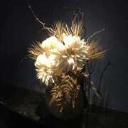 ヒメ日記 2025/09/25 20:24 投稿 瀬名 ローズマリー大塚