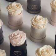 瀬名 明日は🌸 ローズマリー大塚