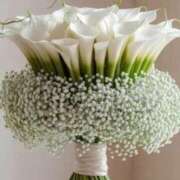 瀬名 明日は🌸 ローズマリー大塚