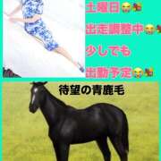 ヒメ日記 2026/01/24 08:16 投稿 もも マスカレード