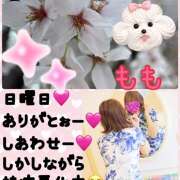 ヒメ日記 2026/03/31 09:50 投稿 もも マスカレード