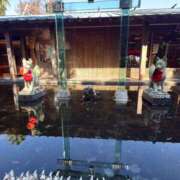 ヒメ日記 2025/11/15 12:28 投稿 ♡ユリア♡ ラブ♡エル霧島店