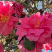 ヒメ日記 2025/03/01 12:53 投稿 ♡カナデ♡ ラブ♡エル霧島店