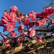 ヒメ日記 2025/03/02 10:00 投稿 ♡カナデ♡ ラブ♡エル霧島店