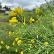 ヒメ日記 2025/04/20 12:20 投稿 ♡カナデ♡ ラブ♡エル霧島店