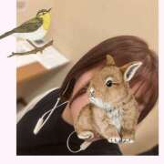 ヒメ日記 2025/04/17 13:06 投稿 ♡マユリ♡ ラブ♡エル霧島店