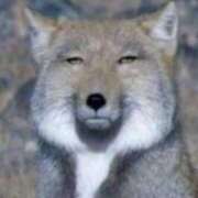 ヒメ日記 2025/03/05 01:18 投稿 ♡マリン♡ ラブ♡エル霧島店