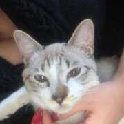 ヒメ日記 2025/03/05 11:26 投稿 ♡マリン♡ ラブ♡エル霧島店