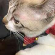 ヒメ日記 2025/03/23 10:29 投稿 ♡マリン♡ ラブ♡エル霧島店