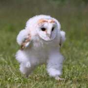 ヒメ日記 2025/03/26 09:44 投稿 ♡マリン♡ ラブ♡エル霧島店