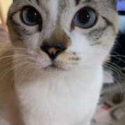 ヒメ日記 2025/05/08 18:24 投稿 ♡マリン♡ ラブ♡エル霧島店