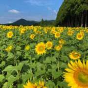 ヒメ日記 2025/06/30 21:52 投稿 ♡リセ♡ ラブ♡エル霧島店