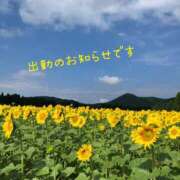 ヒメ日記 2026/07/18 09:12 投稿 ♡リセ♡ ラブ♡エル霧島店