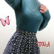 ヒメ日記 2024/12/14 07:05 投稿 とわ clubさくら梅田店