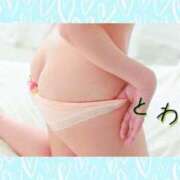 ヒメ日記 2025/03/15 07:25 投稿 とわ clubさくら梅田店