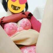 ヒメ日記 2026/08/20 15:15 投稿 とわ clubさくら梅田店
