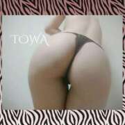 ヒメ日記 2025/03/27 20:55 投稿 とわ 奥様さくら梅田店