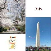 ヒメ日記 2025/04/05 08:45 投稿 とわ 奥様さくら梅田店