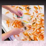 ヒメ日記 2025/09/15 06:25 投稿 とわ 奥様さくら梅田店