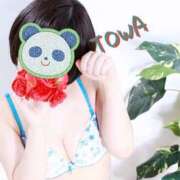 ヒメ日記 2025/11/24 13:25 投稿 とわ 奥様さくら梅田店