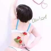 ヒメ日記 2026/01/19 11:45 投稿 とわ 奥様さくら梅田店