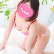 ヒメ日記 2026/01/26 09:25 投稿 とわ 奥様さくら梅田店