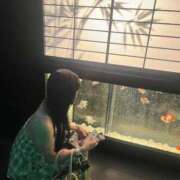 ヒメ日記 2025/09/10 16:27 投稿 夢夢(むむ) Dolce～ドルチェ～