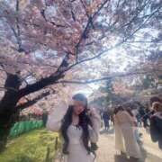 ヒメ日記 2026/04/01 12:32 投稿 夢夢(むむ) Dolce～ドルチェ～