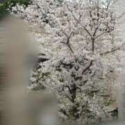 ヒメ日記 2025/04/01 23:31 投稿 らら ぽちゃ巨乳専門　新大久保・新宿歌舞伎町ちゃんこ