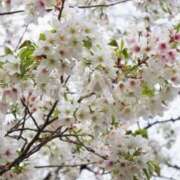 あさひ こんにちは✨ 渋谷じゃっくす