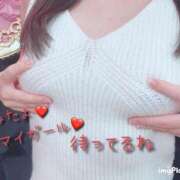 ヒメ日記 2025/03/18 04:29 投稿 平野めいな ウルトラハピネス