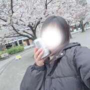 ヒメ日記 2025/04/03 13:30 投稿 平野めいな ウルトラハピネス