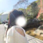 ヒメ日記 2025/04/17 06:29 投稿 平野めいな ウルトラハピネス